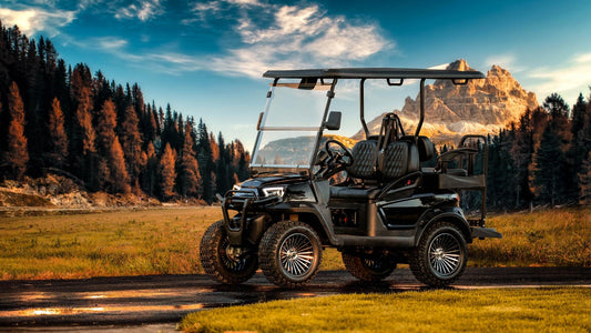 About 10L0L Golf Cart Armrest from Carolina Golf Cars Store Evaluation Reports - 10L0L