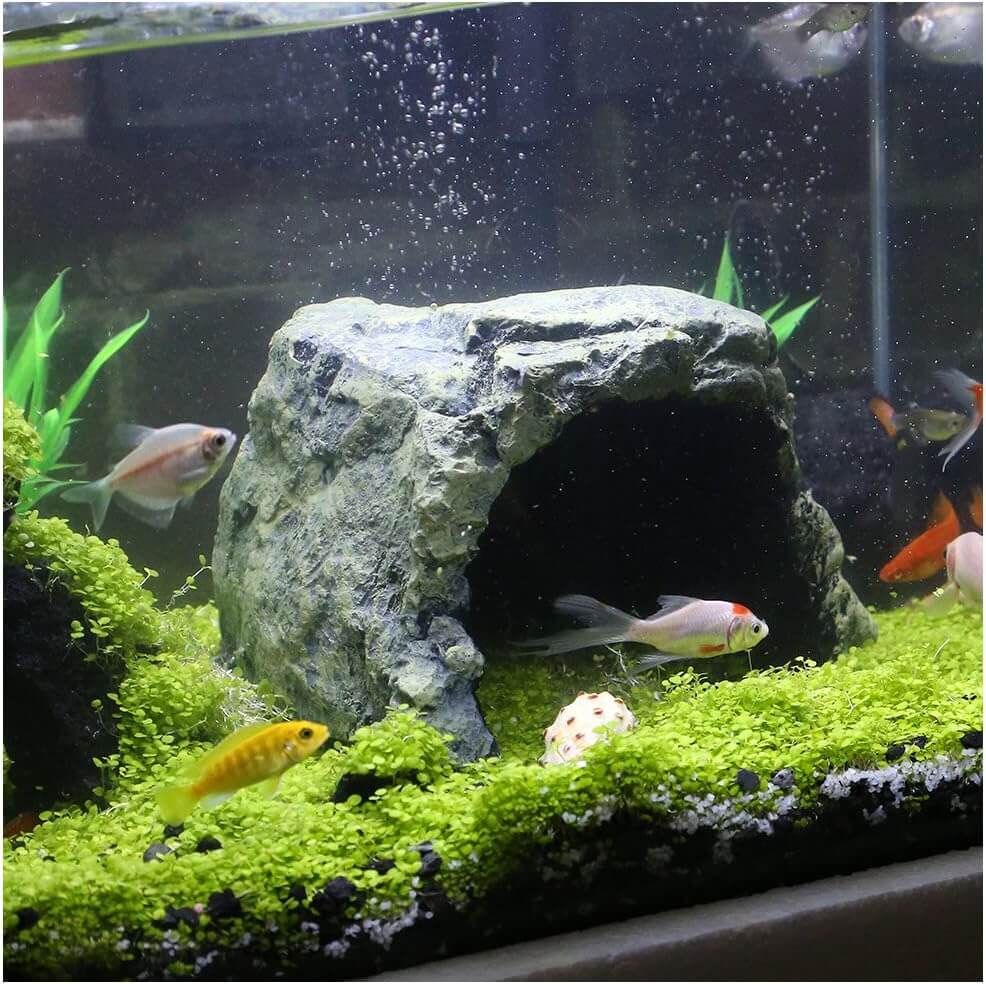 Reptile Rock Hide Cave