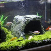 Reptile Rock Hide Cave