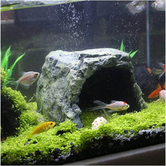 Reptile Rock Hide Cave