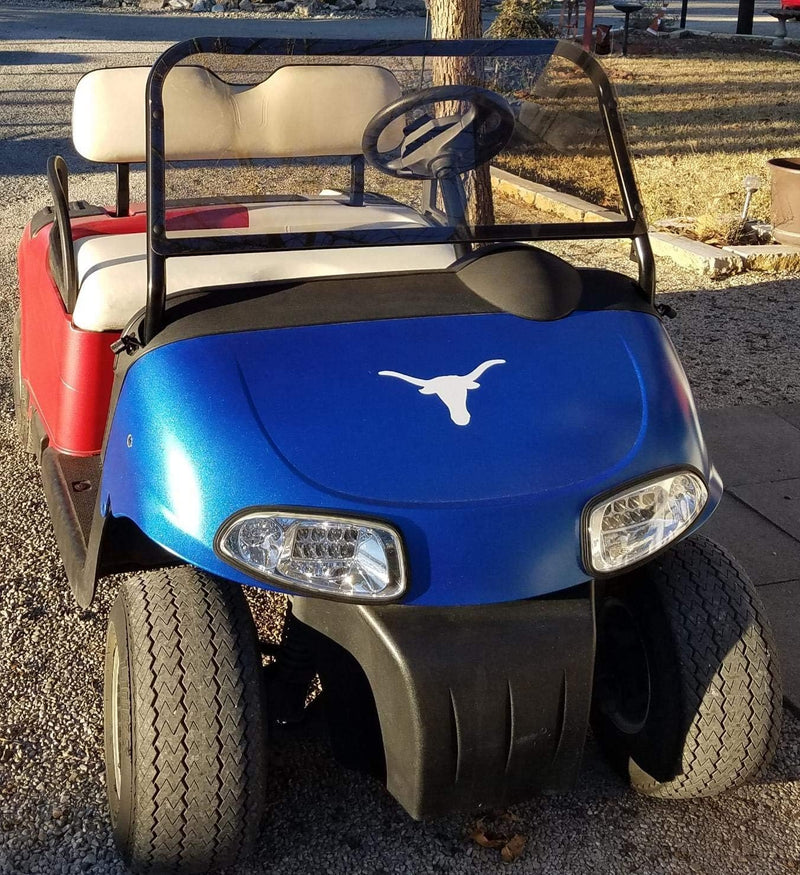 EZGO RXV Light Kit Golf Cart Headlight and Taillight