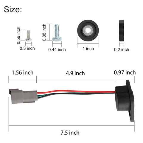 Size