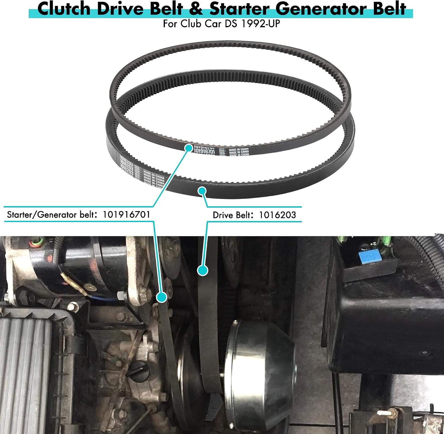 Clutch Drive Belt & Starter Generator Belt